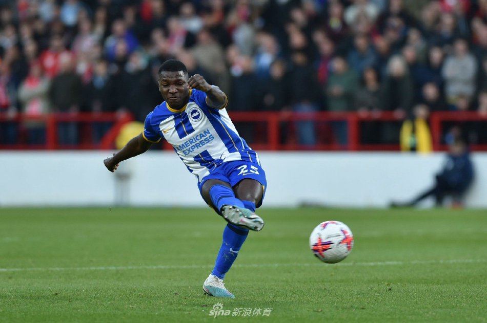 数年里逐步 数年里逐步