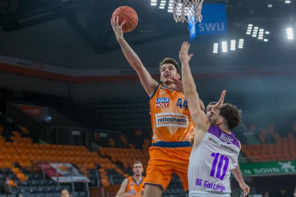 的适应力 的适应力